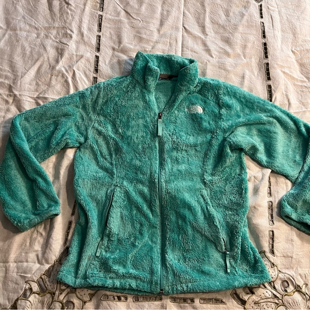 The north face fuzzy jacket
